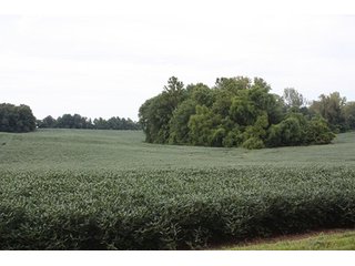Property photo 1 - REAL ESATE AUCTION-128.4+/- ACRES OFFERED IN 6 TRACTS IN SPENCER COUNTY